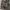 Vintage Grunge Scarf Wanita gray photo 4