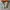 VANS Futurist Casual Sneakers Pria white black photo 4