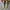 VANS Futurist Casual Sneakers Pria white black photo 5
