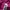 Adidas Sportswear Jersey Wanita multicolor purple photo 5
