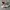 Adidas Futurist Casual Sneakers Pria green cream photo 2