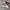 Adidas Futurist Casual Sneakers Pria green cream photo 1