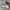 Adidas Futurist Casual Sneakers Pria Green Cream