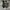Adidas Futurist Casual Sneakers Pria green cream photo 6