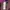 Sportswear Jersey Wanita multicolor photo 4