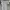 Sorridere Casual Sweater Wanita Gray