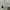 Adidas Vintage Sportswear Jersey Pria green white photo 4