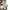 Nike Vintage Sportswear Jersey Pria white photo 3