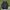 Columbia Sportswear Windbreaker Pria blue black photo 3