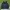 Columbia Sportswear Windbreaker Pria blue black photo 1