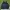 Columbia Sportswear Windbreaker Pria Blue Black