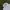 Spao Streetwear Sportswear Windbreaker Pria white photo 3