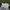 Spao Streetwear Sportswear Windbreaker Pria white photo 8
