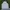Spao Streetwear Sportswear Windbreaker Pria white photo 4