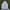 Spao Streetwear Sportswear Windbreaker Pria white photo 5