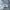 Spao Streetwear Sportswear Windbreaker Pria white photo 7