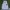 Streetwear Sportswear Windbreaker Pria white photo 4