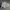 Nike Casual Sneakers Pria white gray photo 4