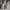 Nike Casual Sneakers Pria white gray photo 6