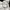 Japanese brand Streetwear Hoody Pria multicolor photo 5