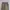 GAP Streetwear Y2K Tracksuit Pria green khaki photo 5