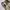 GAP Streetwear Y2K Tracksuit Pria green khaki photo 3