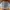 Streetwear Casual Sweatshirt Pria gray photo 5