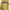 Champion Sportswear Casual Suit Pria yellow photo 1