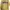 Champion Sportswear Casual Suit Pria Yellow