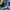 Santa Cruz Skateboards Skater Scarf Pria navy photo 5