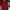 Cardigan Wanita red photo 2