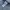 MUSINSA STANDARD Streetwear Casual Puffer jacket Pria white gray photo 7