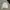 Le Coq Sportif Casual Sweater Pria white photo 2