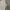 Le Coq Sportif Casual Sweater Pria white photo 6