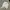 Le Coq Sportif Casual Sweater Pria white photo 3