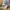 Kensho Abe Vintage Y2K Trench coat Pria black photo 6