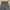 Japanese brand Streetwear Y2K Casual pants Pria black photo 4