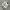Adidas Casual Sneakers Wanita white photo 1