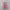 Adidas Casual Sneakers Wanita pink photo 3