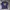 Kenzo Casual T-shirt Pria navy photo 1