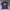Kenzo Casual T-shirt Pria Navy