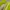 Puma Casual Sneakers Wanita green photo 2