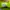 Puma Casual Sneakers Wanita green photo 6