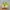 Puma Casual Sneakers Wanita green photo 4