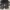 Adidas Streetwear Sneakers Pria white black photo 4