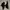 Adidas Streetwear Sneakers Pria white black photo 2