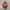 Adidas Casual Sneakers Pria red photo 1