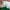 New Balance Casual Sneakers Pria green photo 6