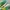 New Balance Casual Sneakers Pria green photo 2