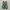New Balance Casual Sneakers Pria green photo 5